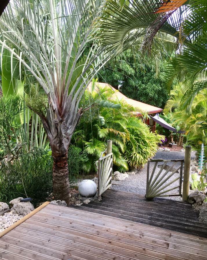 Ti Coin Paradis Anse-Bertrand Kültér fotó